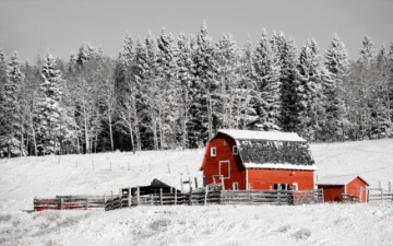 Red Barn In Winter with snow covered trees
