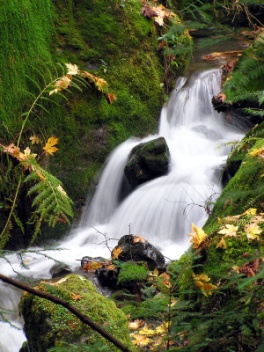 Waterfall with moss covered rocks on either side